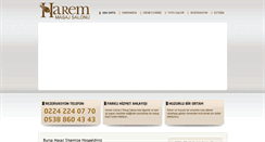 Desktop Screenshot of haremmasajsalonu.com